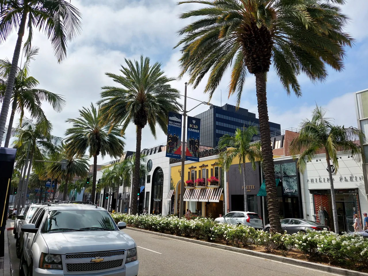 Palm trees and boutique storefronts along Rodeo Drive in Beverly Hills, California